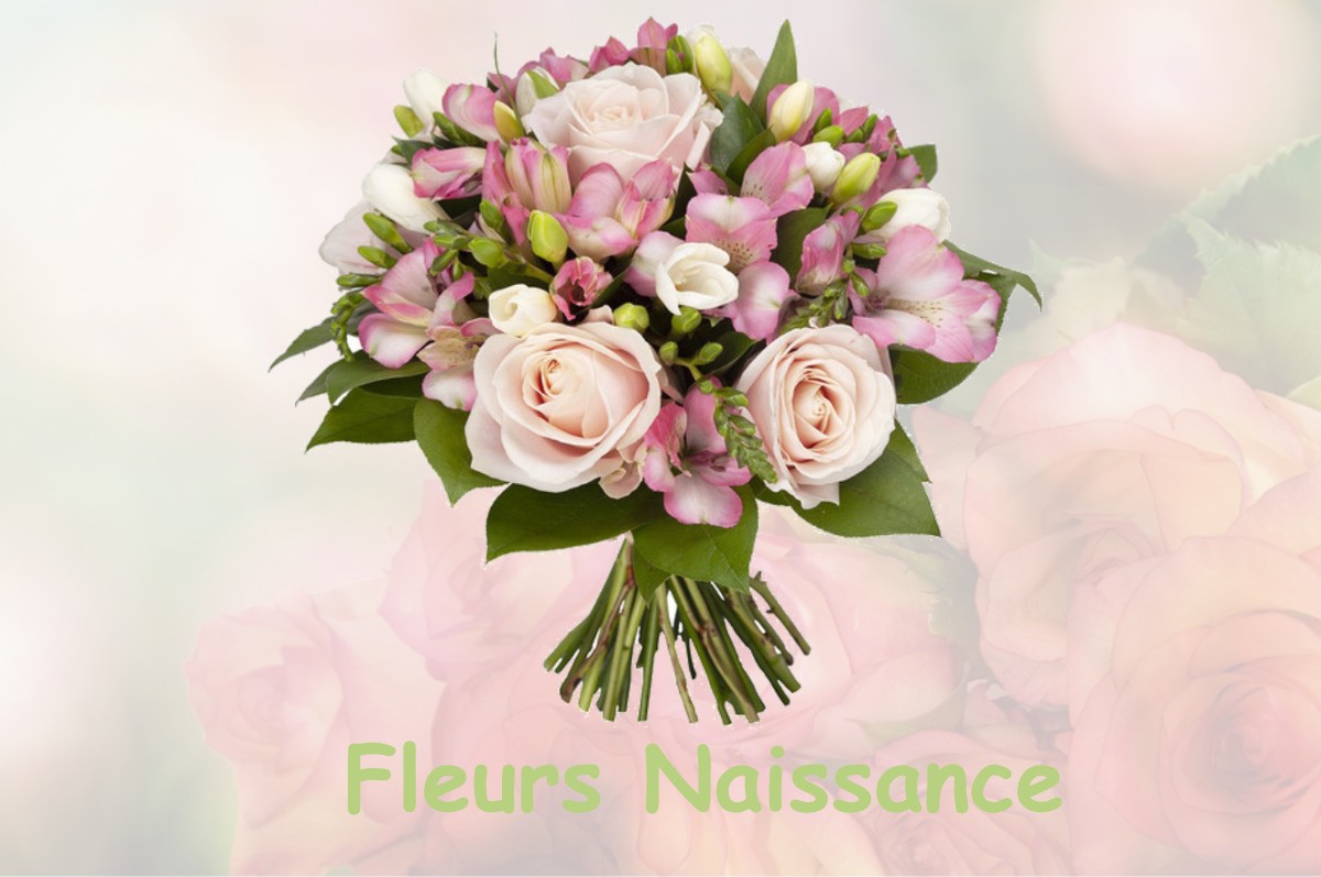 fleurs naissance SENONCOURT-LES-MAUJOUY