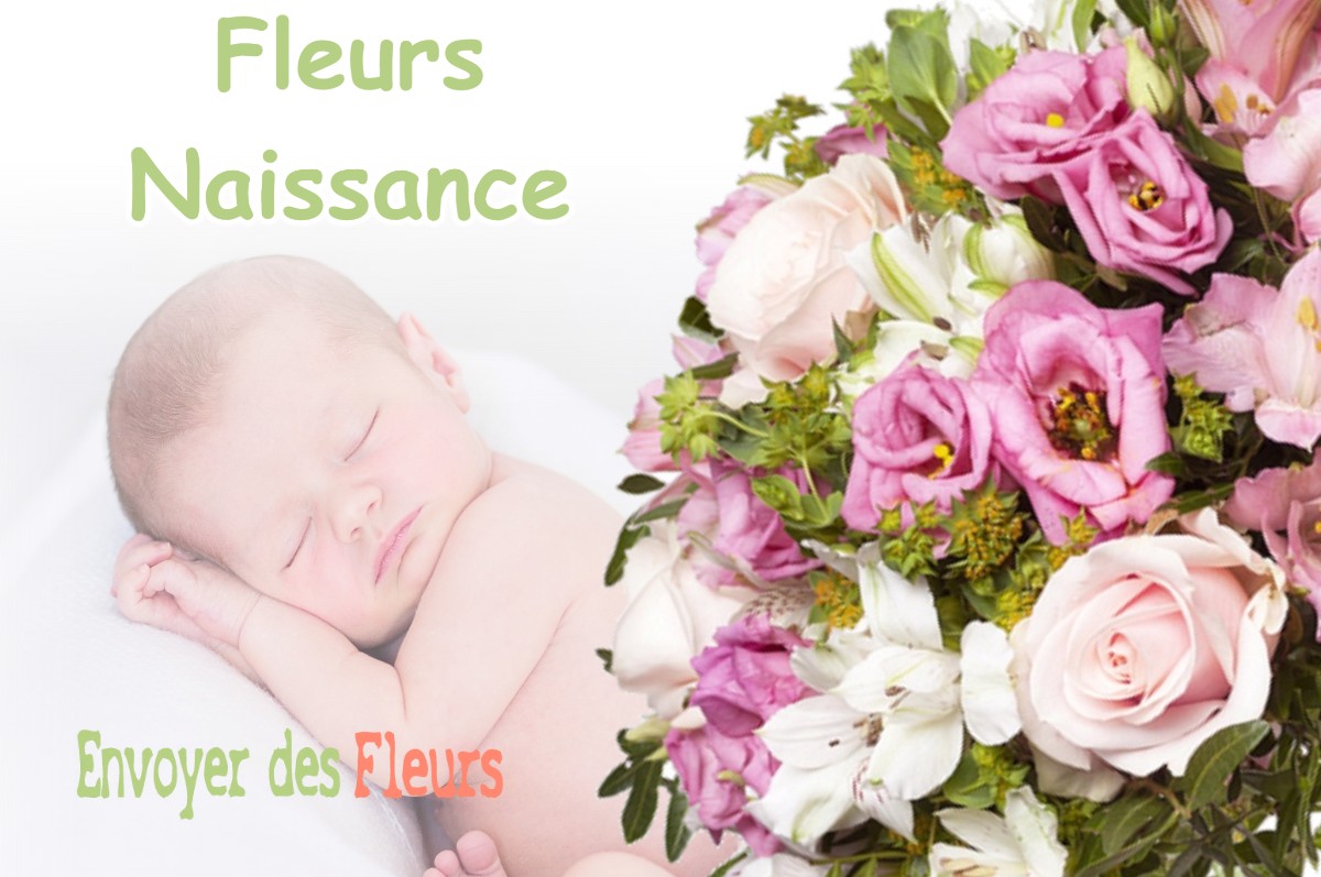 lIVRAISON FLEURS NAISSANCE à SENONCOURT-LES-MAUJOUY